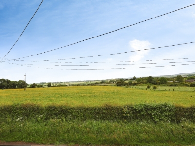 Picture 11